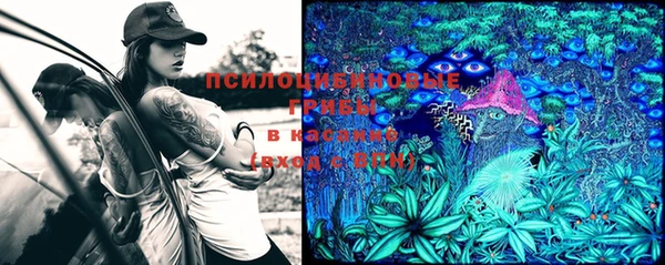 молекула духа Балабаново
