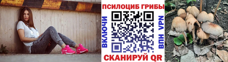 ссылка на мегу закладка Новомосковск Галлюциногенные грибы MAGIC MUSHROOMS