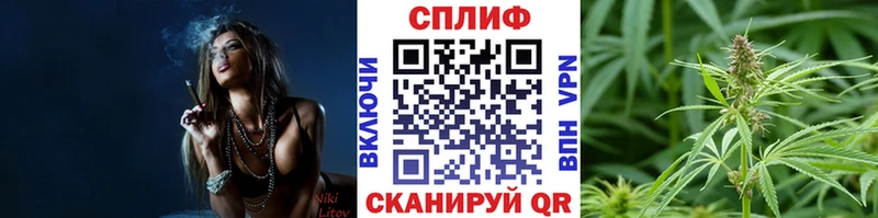 Шишки марихуана AK-47  купить закладку  ОМГ ОМГ вход  Новомосковск 